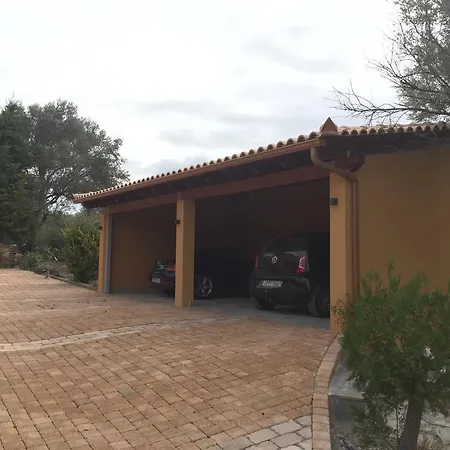 House Olive Grove In Evia *