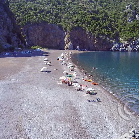 House Olive Grove In Evia بيت للعطل
