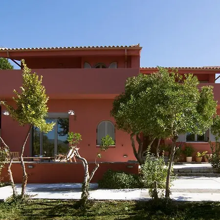 House Olive Grove In Evia بيت للعطل *