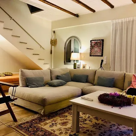 House Olive Grove In Evia
